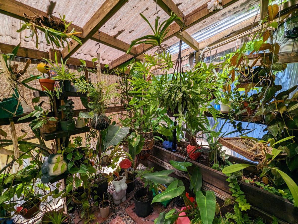 Cozy Af Tiny-House Oasis Villa Tampa Bagian luar foto