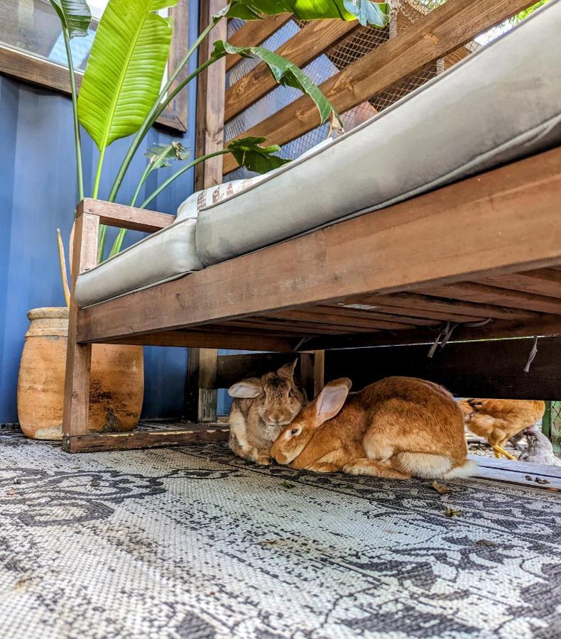 Cozy Af Tiny-House Oasis Villa Tampa Bagian luar foto