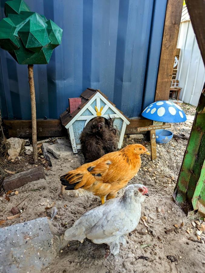 Cozy Af Tiny-House Oasis Villa Tampa Bagian luar foto