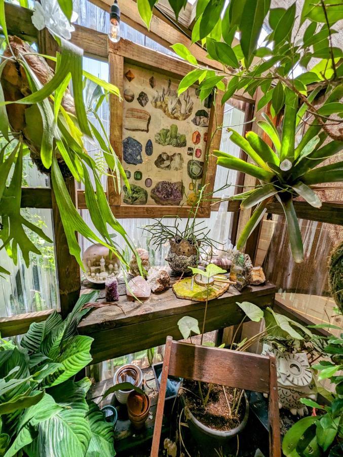 Cozy Af Tiny-House Oasis Villa Tampa Bagian luar foto