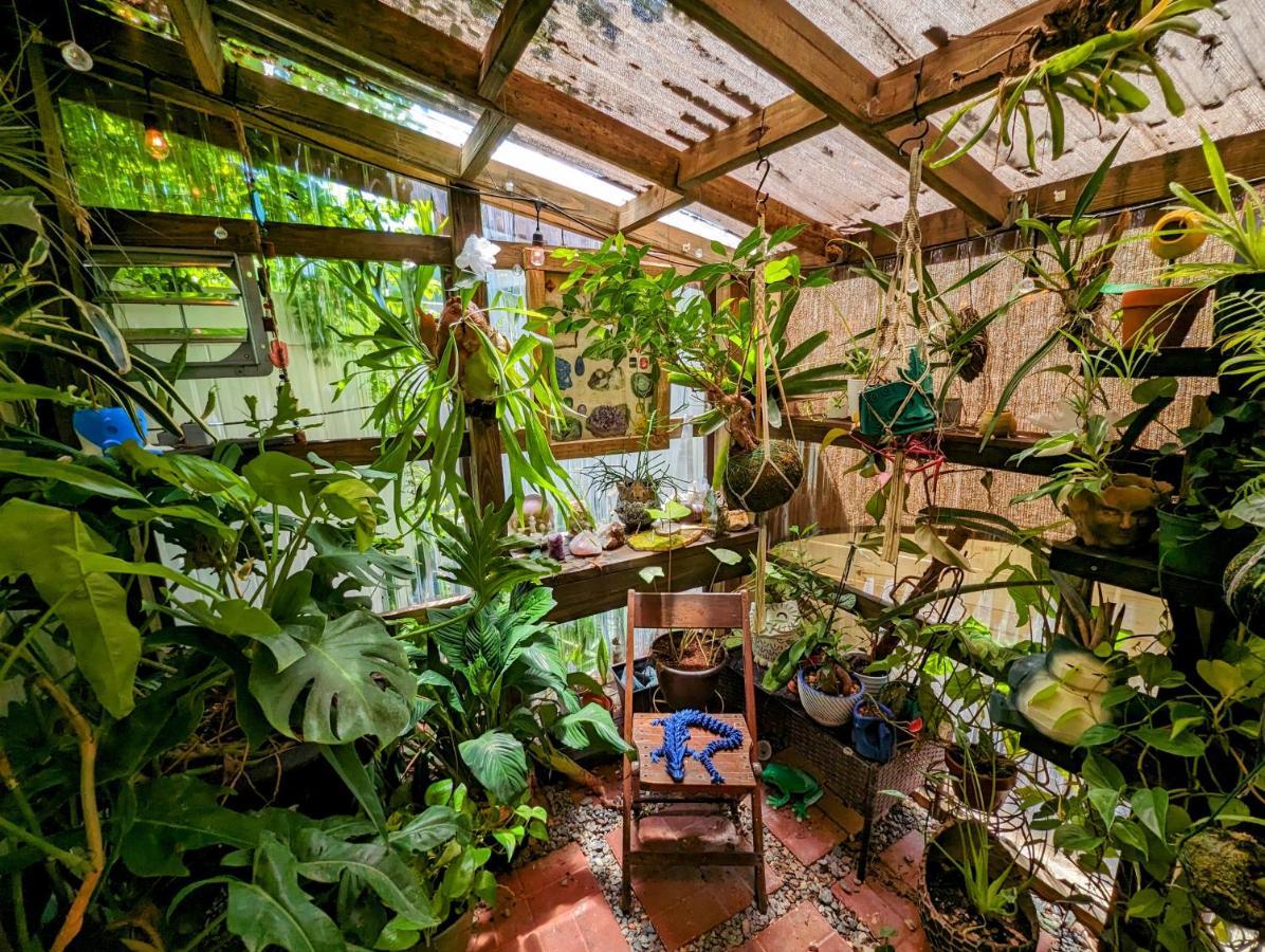 Cozy Af Tiny-House Oasis Villa Tampa Bagian luar foto